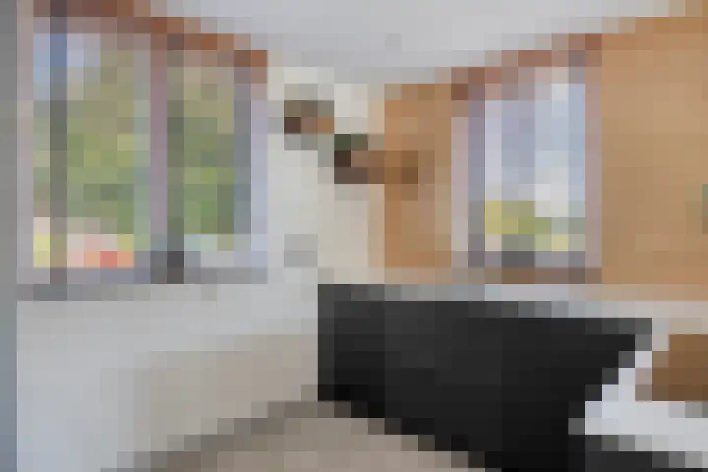 Stadswaardenlaan 36 Arnhem thumbnail 12