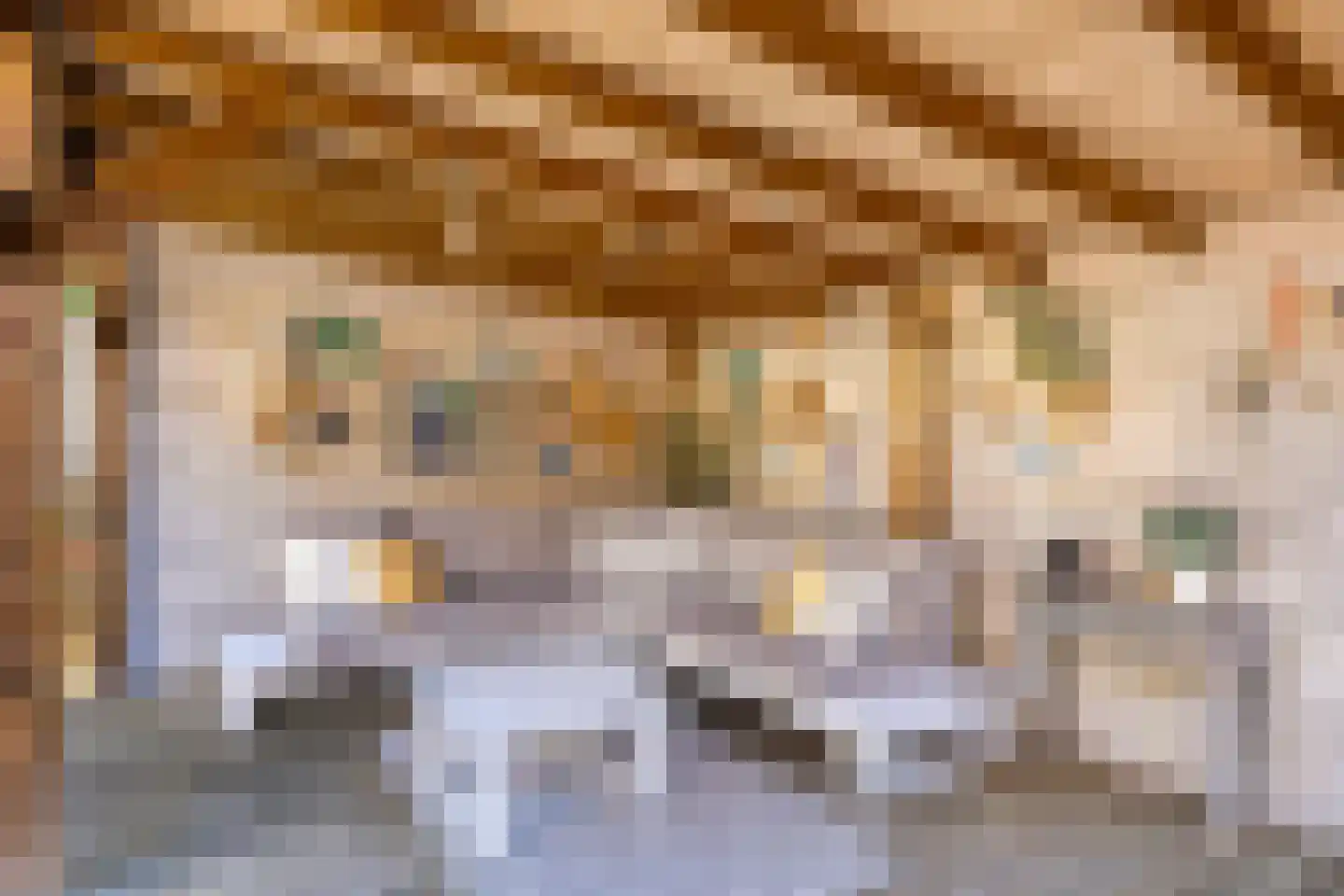 Stadswaardenlaan 36 Arnhem thumbnail 39