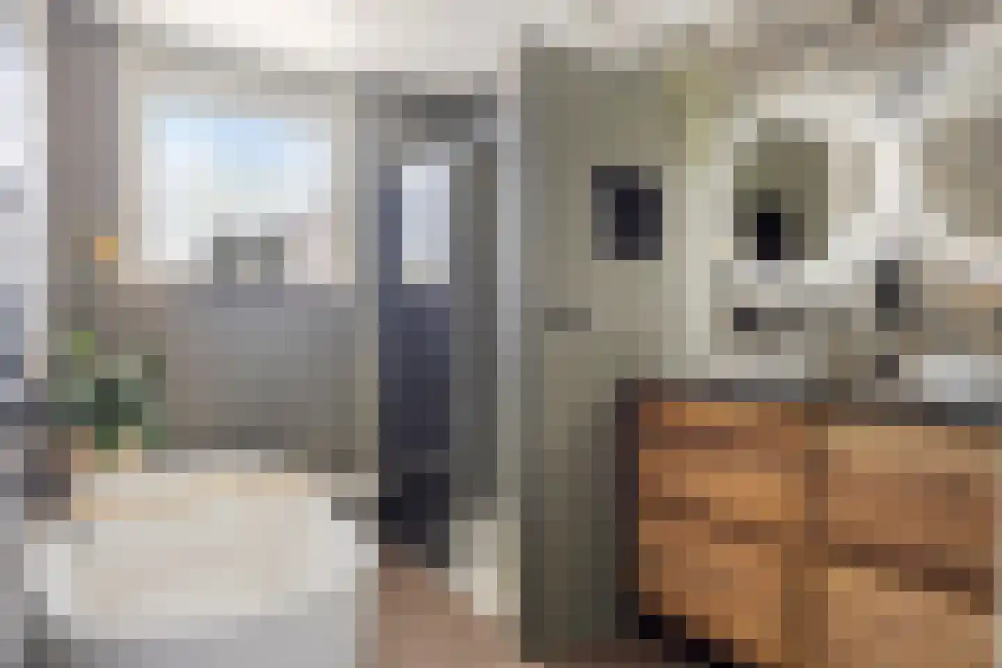 Stadswaardenlaan 36 Arnhem thumbnail 4