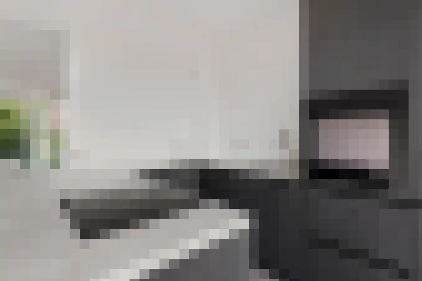 Stadswaardenlaan 85 Arnhem thumbnail 19