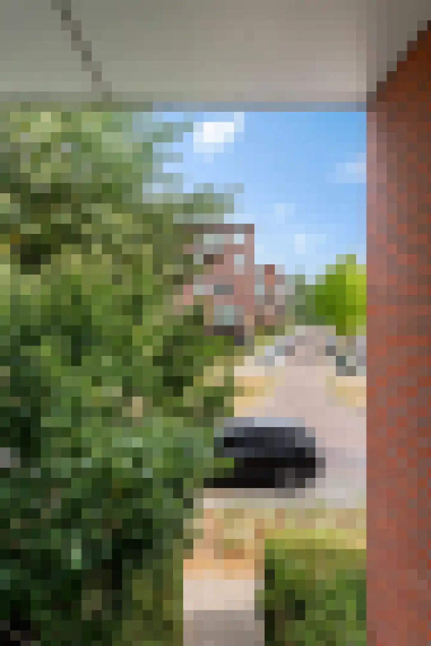 Stadswaardenlaan 85 Arnhem thumbnail 43