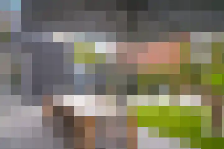 Stadswal 13 Asperen thumbnail 24
