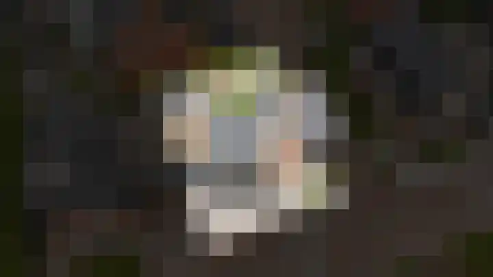 Stadswal 13 Asperen thumbnail 30