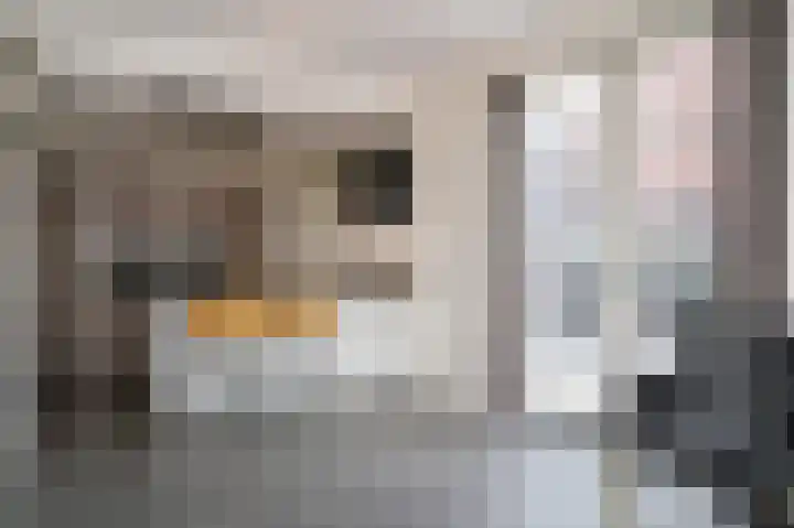 Stadswal 13 Asperen thumbnail 9