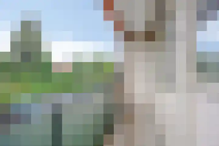Stadswal 14 a Huissen thumbnail 19