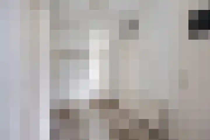 Stadswal 14 a Huissen thumbnail 25