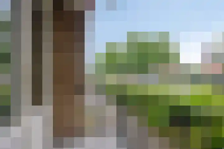 Stadswal 14 a Huissen thumbnail 8