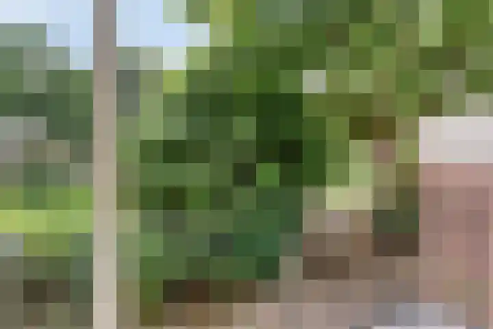 Stadswal 14 a Huissen thumbnail 9