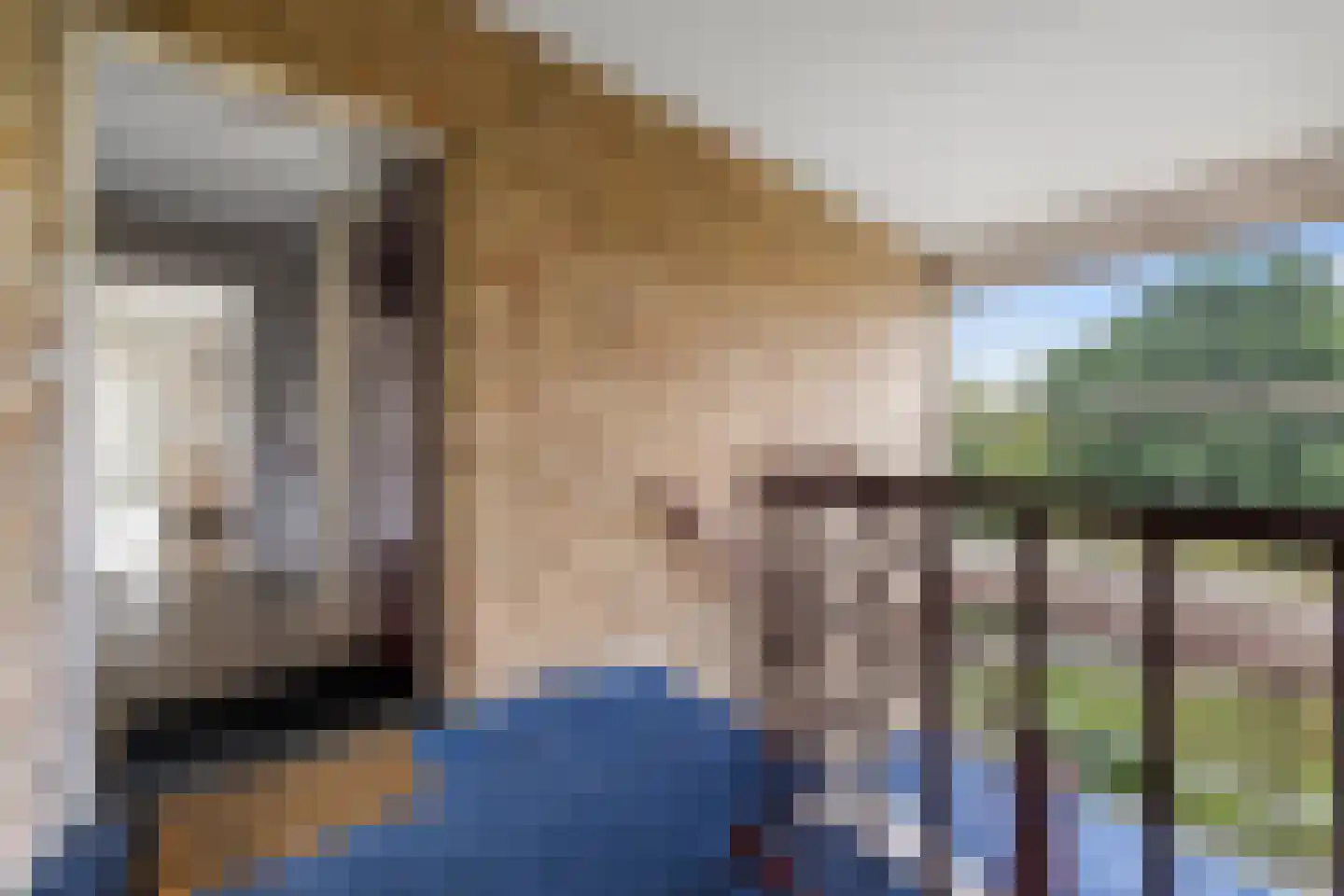 Stadswal 14 d Huissen thumbnail 6