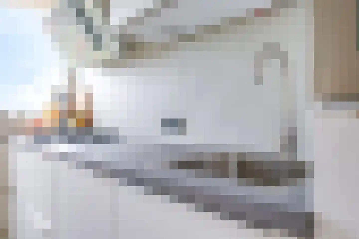 Stadswal 22 c Huissen thumbnail 33