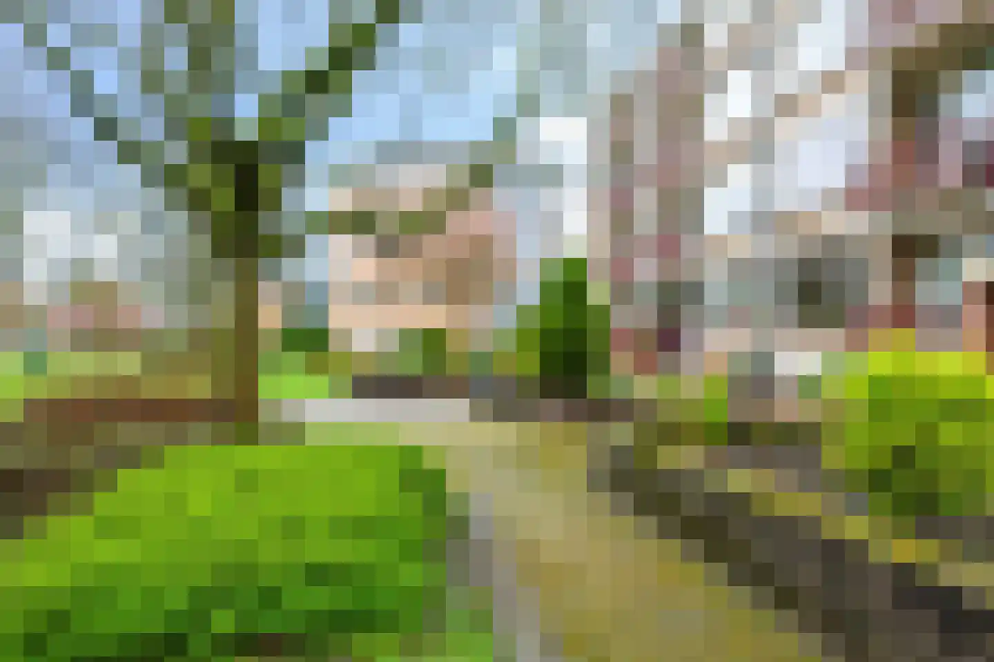 Stadswal 22 c Huissen thumbnail 6