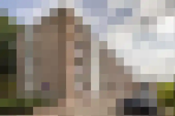 Stadswal 24 a Huissen thumbnail 21