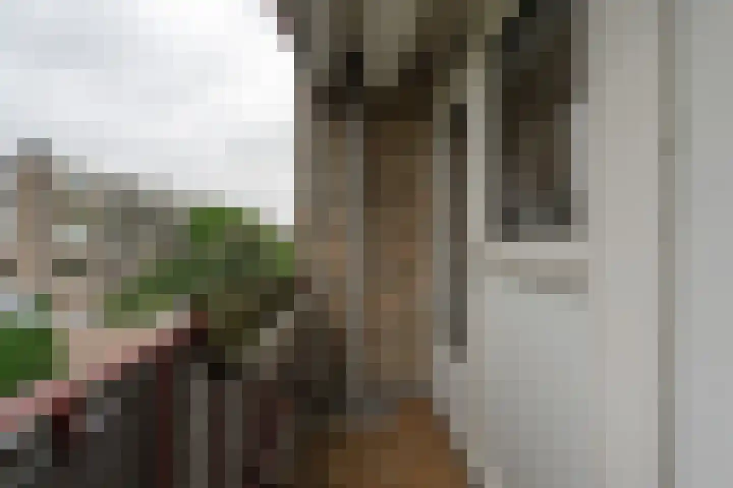 Stadswal 24 b Huissen thumbnail 13