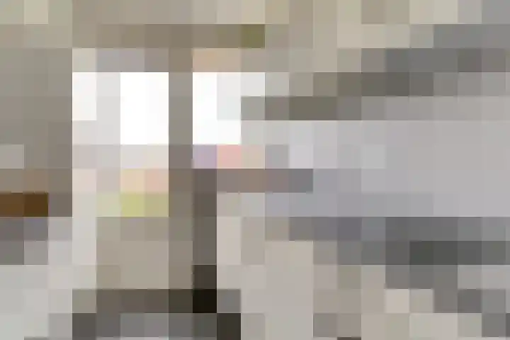 Stadswal 26 b Huissen thumbnail 16