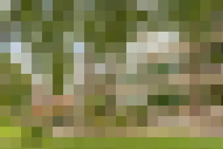 Stadswal 26 b Huissen thumbnail 5