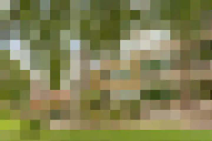 Stadswal 26 b Huissen thumbnail 6