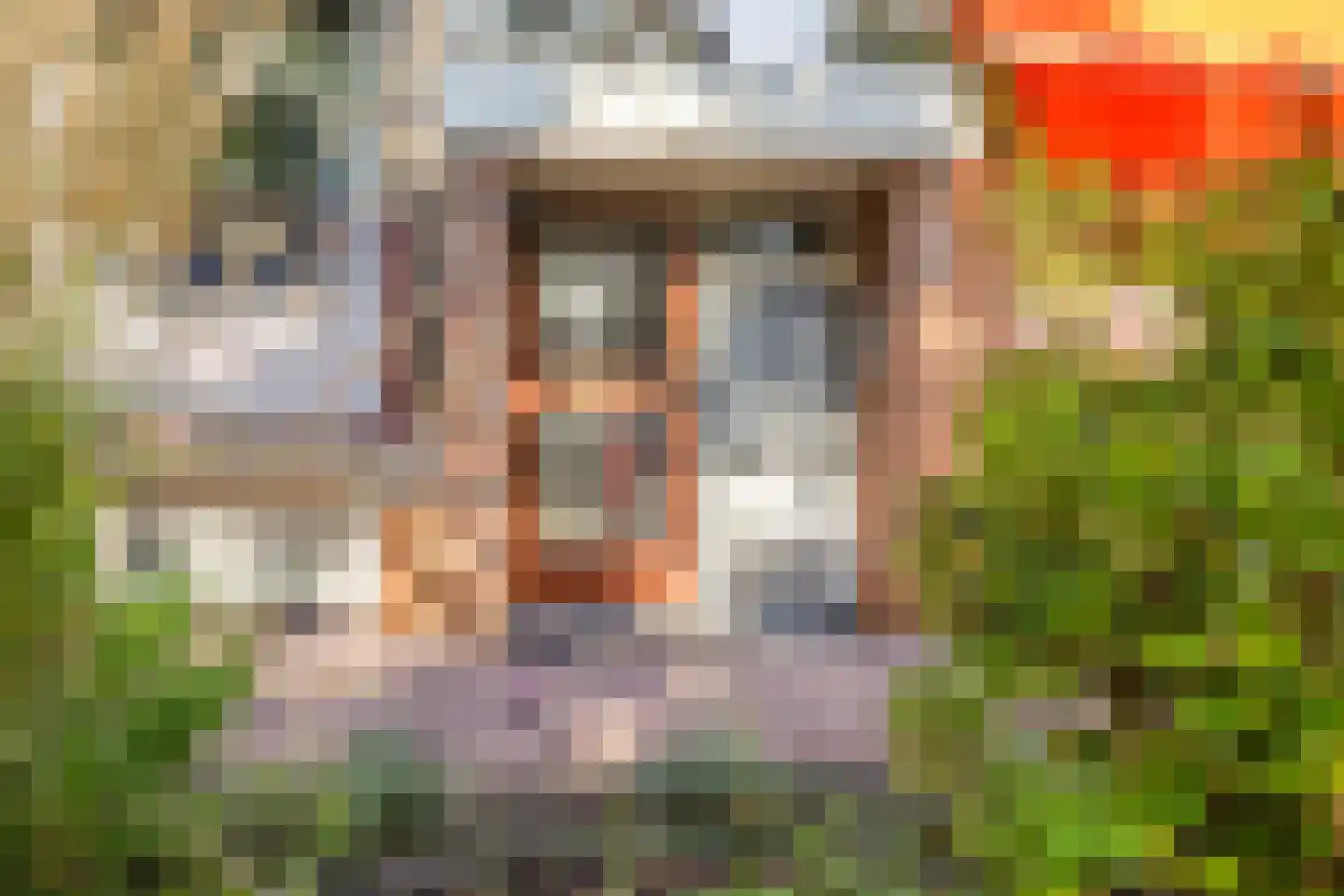 Stadswal 26 d Huissen thumbnail 10