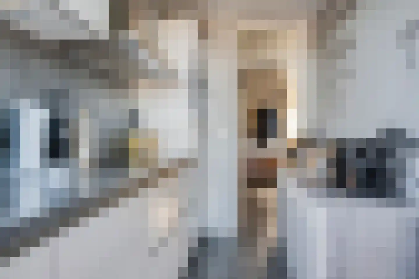 Stadswal 26 d Huissen thumbnail 18