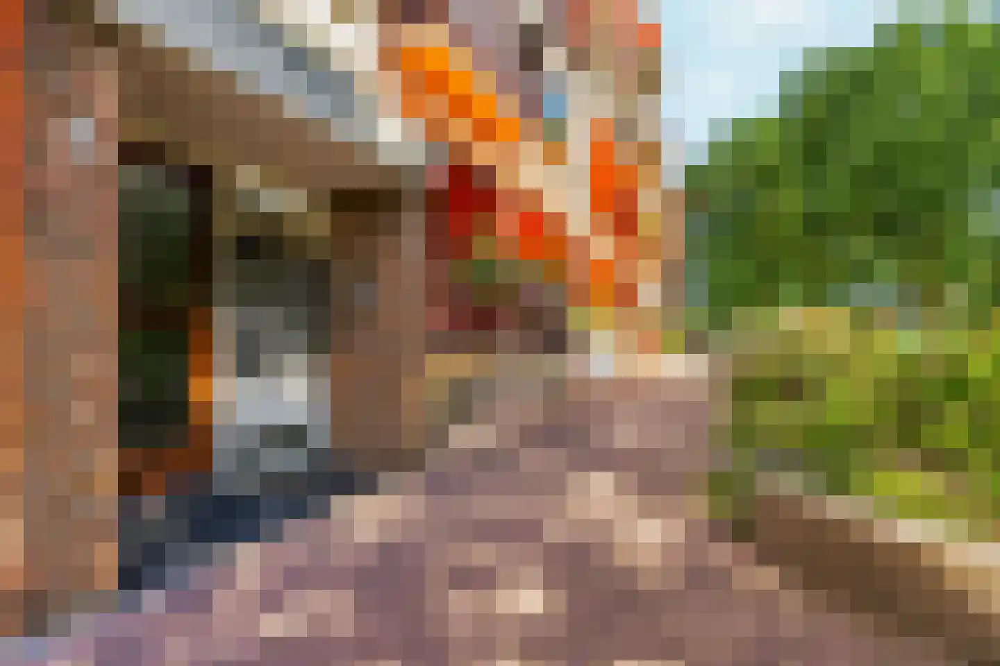 Stadswal 30 d Huissen thumbnail 34