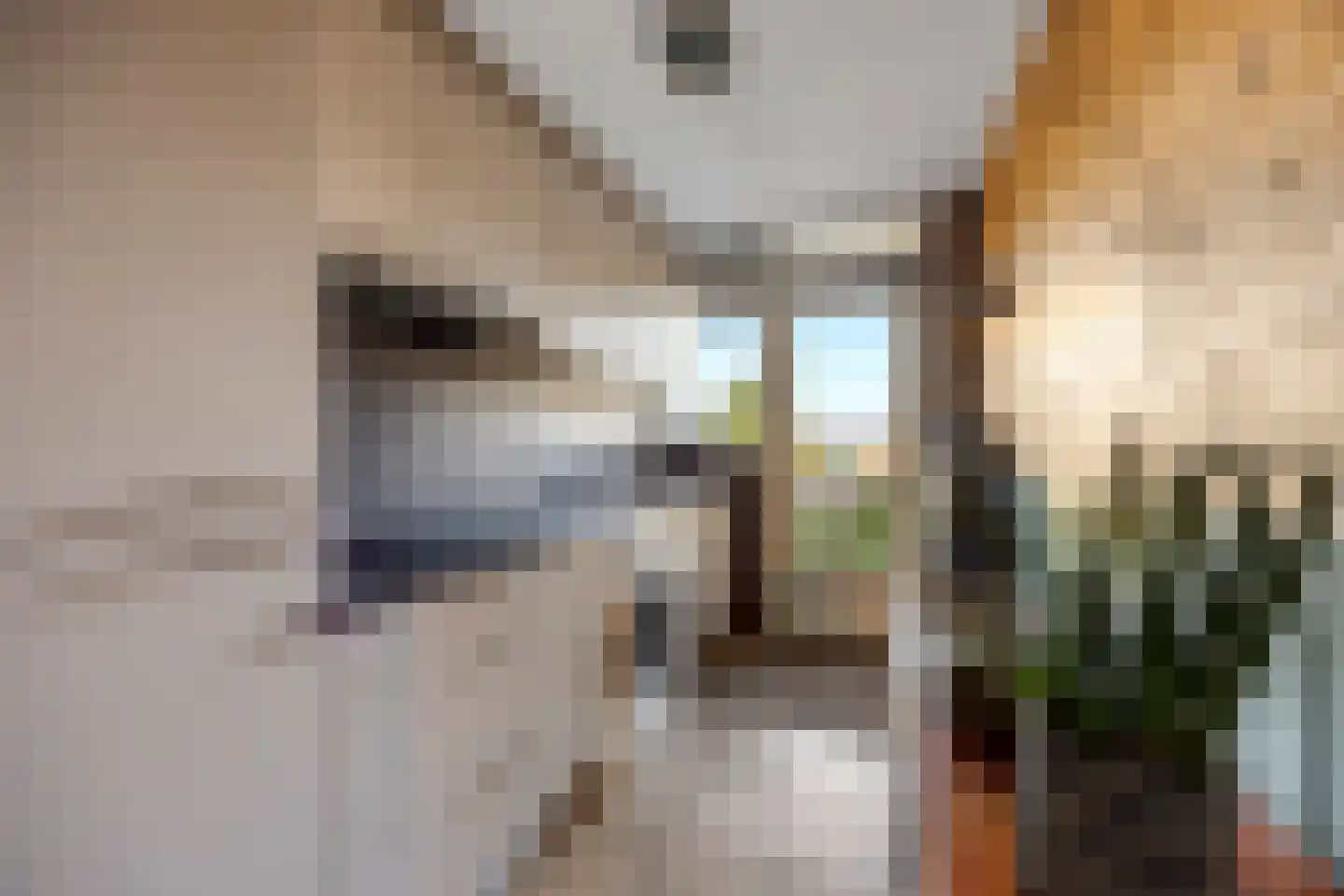 Stadswal 32 b Huissen thumbnail 11