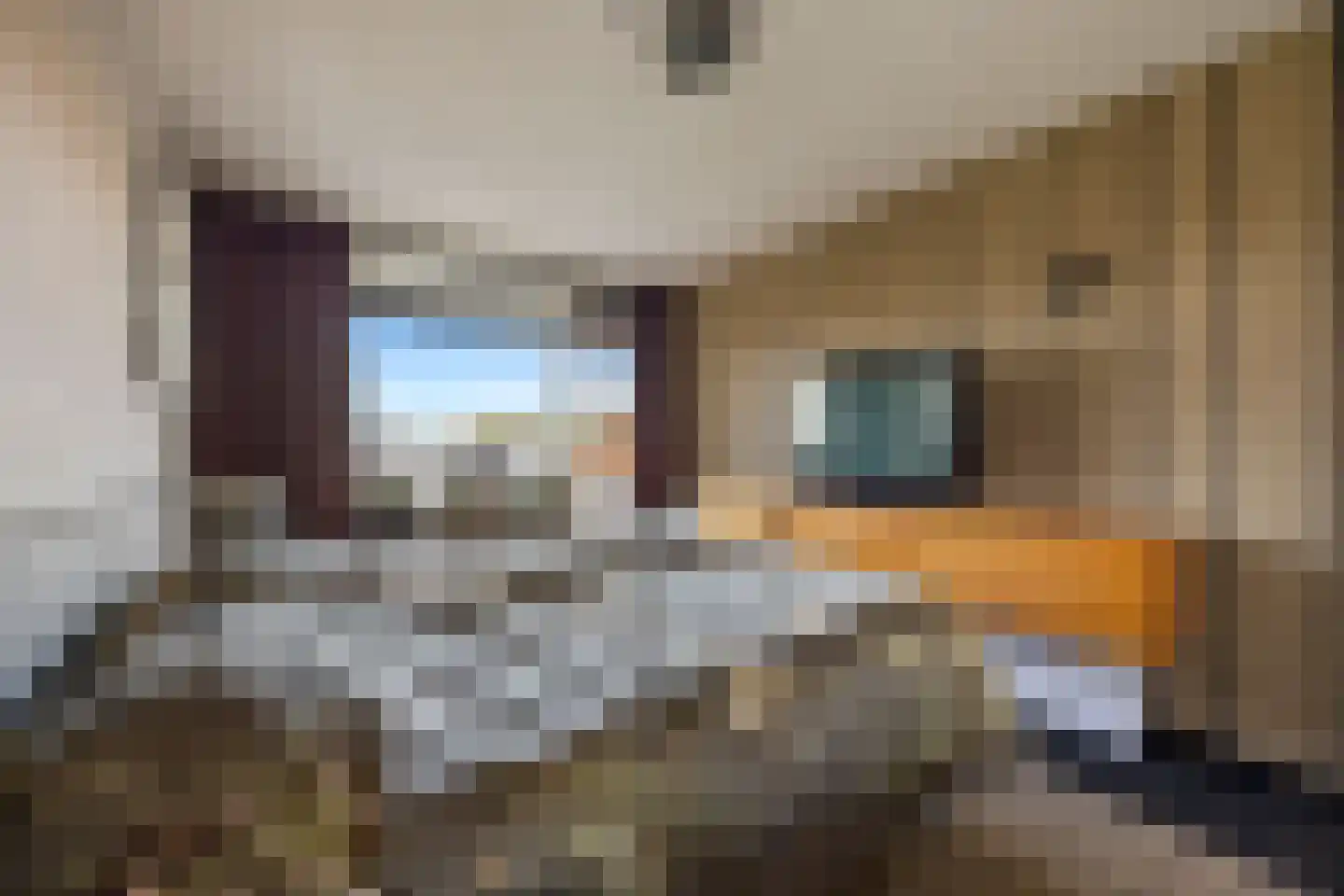 Stadswal 32 b Huissen thumbnail 15