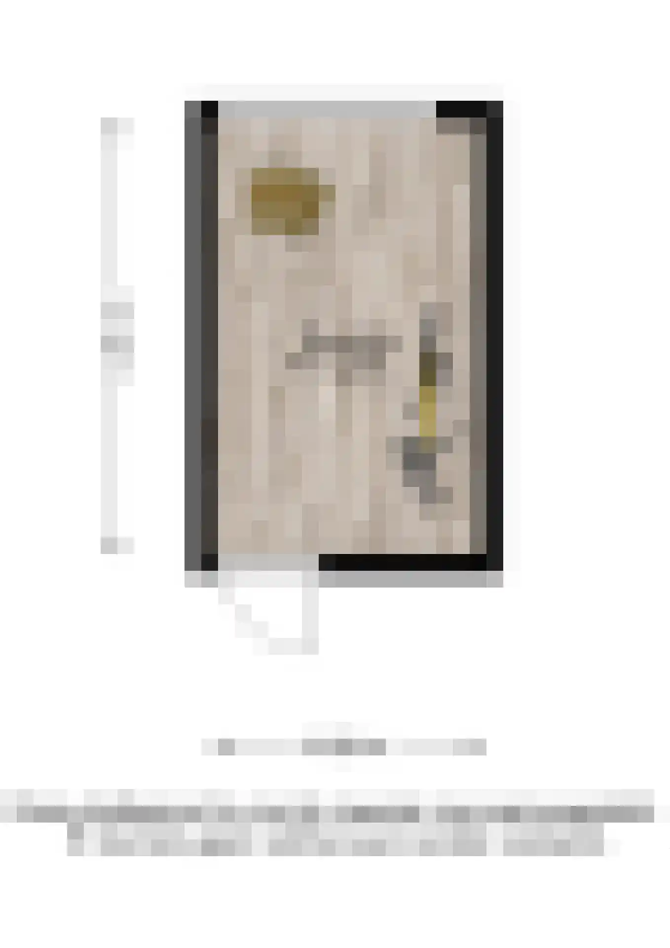 Stadswal 32 b Huissen thumbnail 30