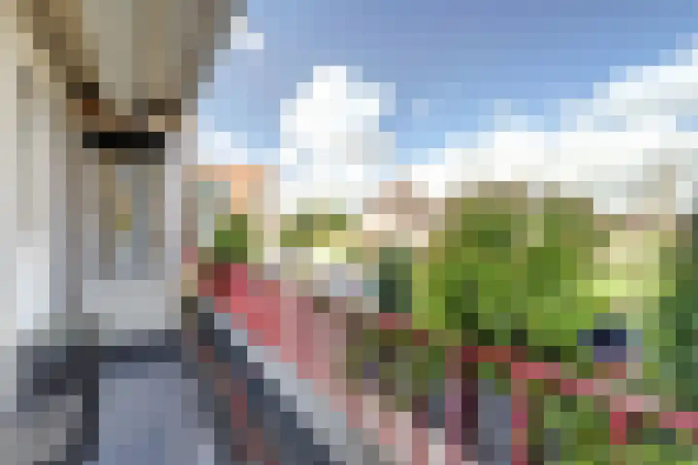 Stadswal 34 a Huissen thumbnail 27