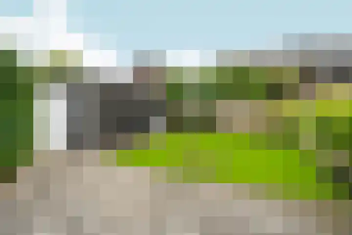 Stadswal 55 b Huissen thumbnail 39