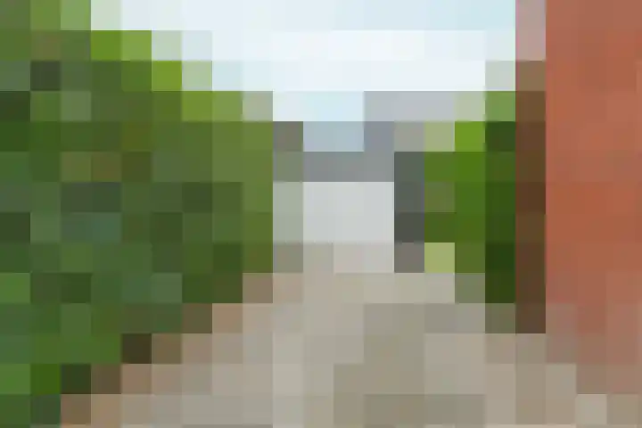 Stadswal 55 b Huissen thumbnail 43