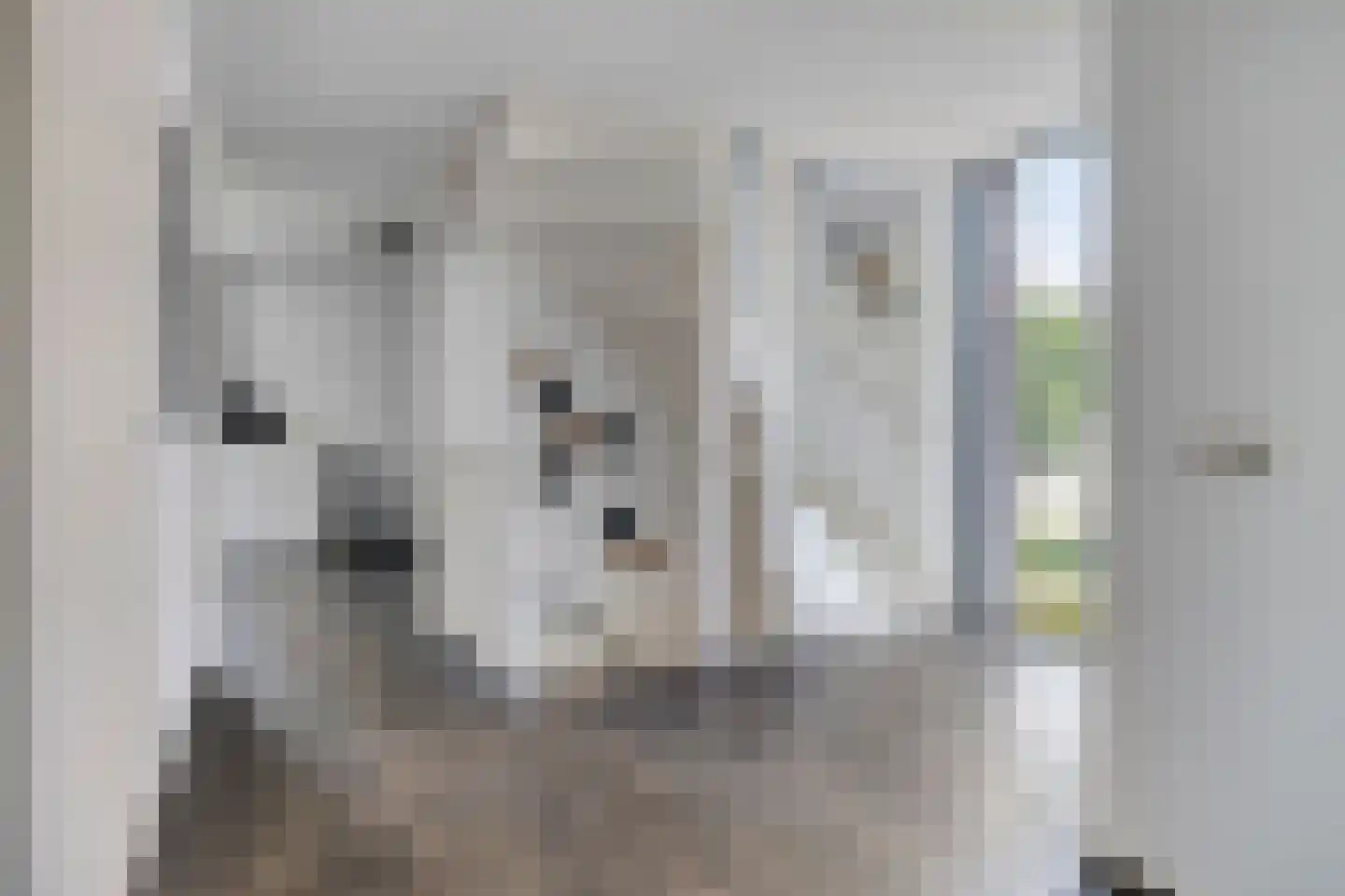 Stadswal 55 d Huissen thumbnail 18