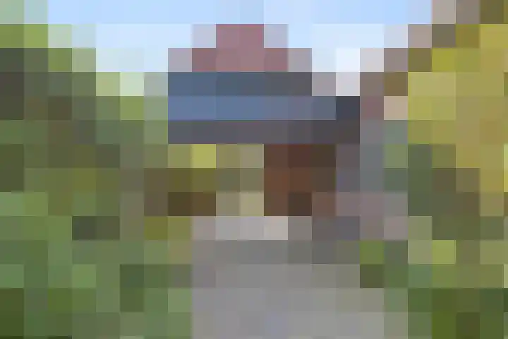 Stadswal 61 Huissen thumbnail 25