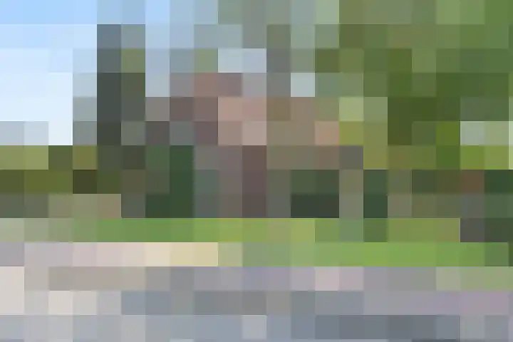 Stadswal 61 Huissen thumbnail 38