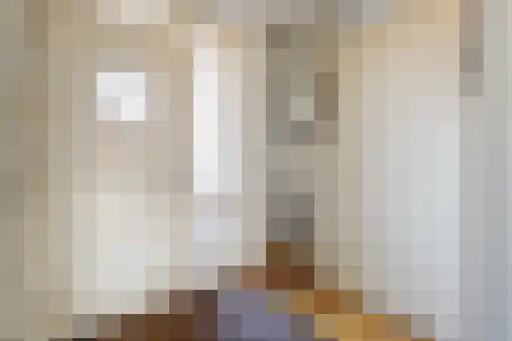Stadswal Noord 19 Huissen thumbnail 12