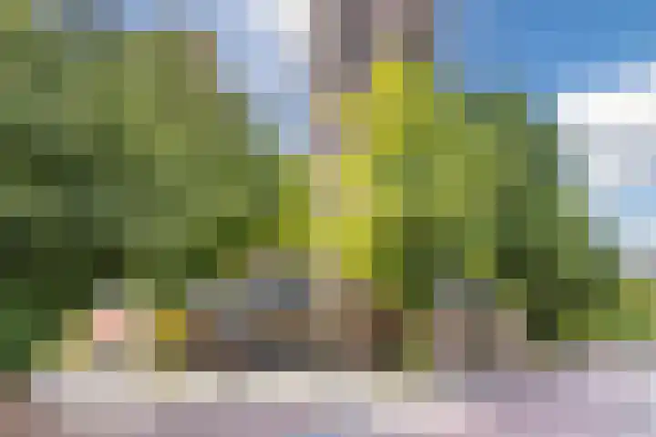 Stadswal Noord 25 Huissen thumbnail 25