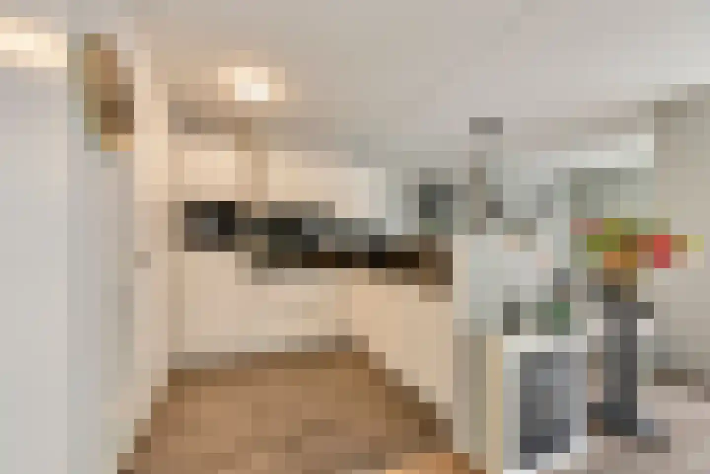 Stadswal Noord 28 Huissen thumbnail 10