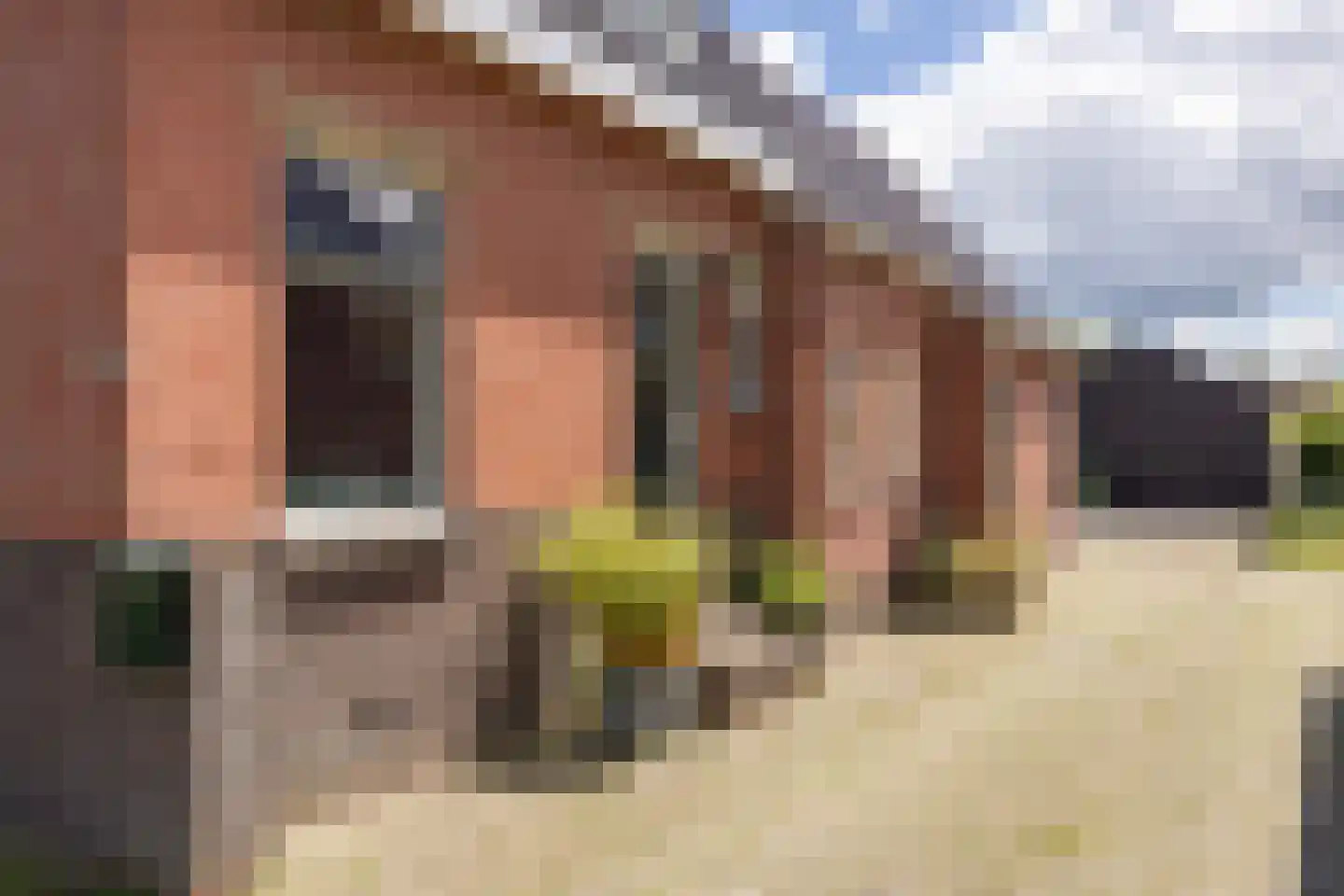 Stadsweg 106 Winneweer thumbnail 14