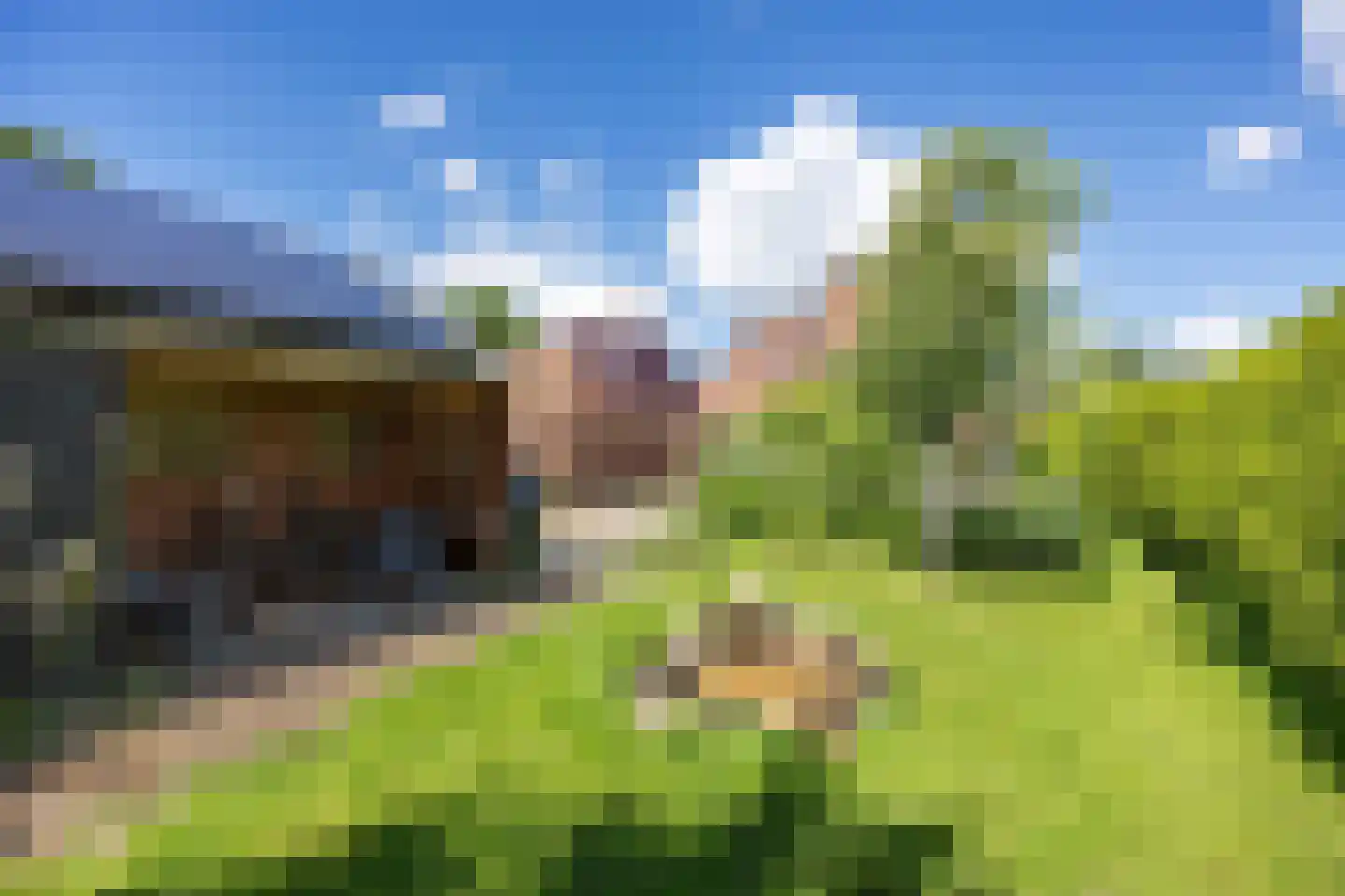 Stadsweg 106 Winneweer thumbnail 70