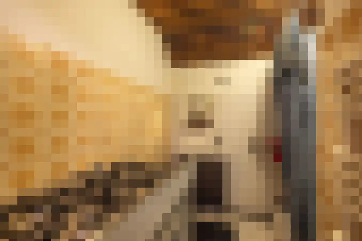 Stadsweg 12 Lauwerzijl thumbnail 30