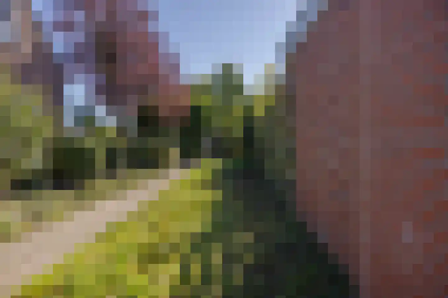 Stadsweg 12 Lauwerzijl thumbnail 33