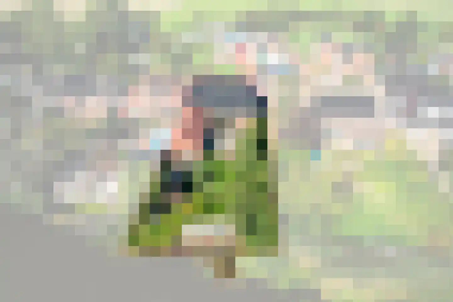 Stadsweg 12 Lauwerzijl thumbnail 42