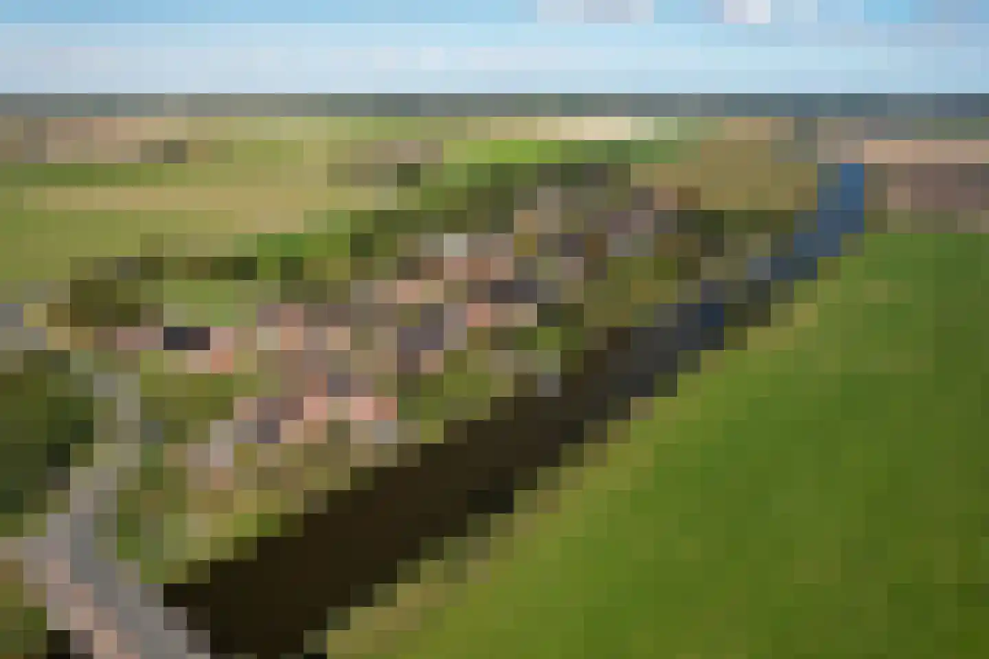 Stadsweg 12 Lauwerzijl thumbnail 47