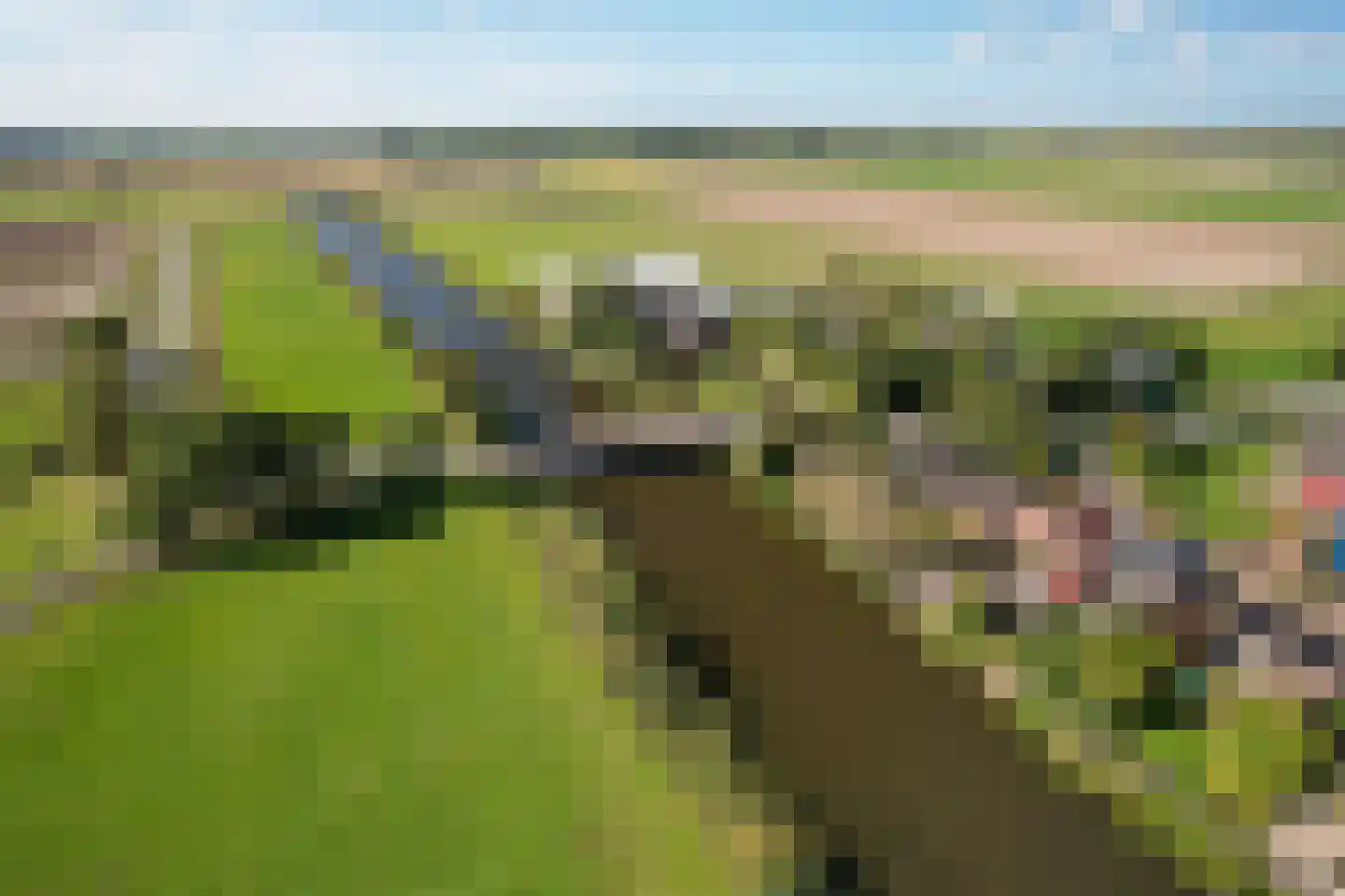 Stadsweg 12 Lauwerzijl thumbnail 48