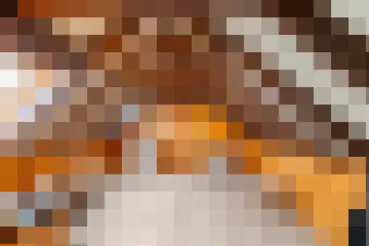Stadsweg 167 Winneweer thumbnail 21