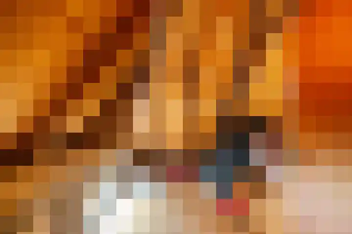 Stadsweg 167 Winneweer thumbnail 24
