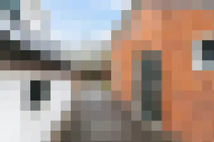 Stadsweg 167 Winneweer thumbnail 30