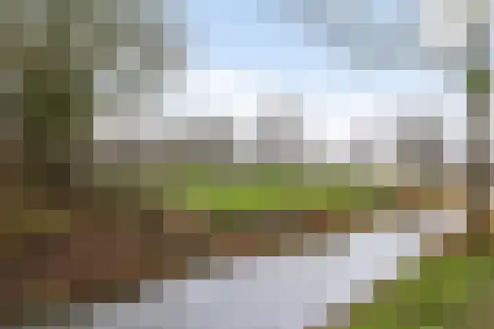 Stadsweg 167 Winneweer thumbnail 34