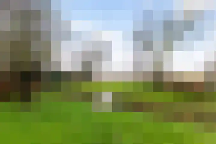Stadsweg 167 Winneweer thumbnail 35