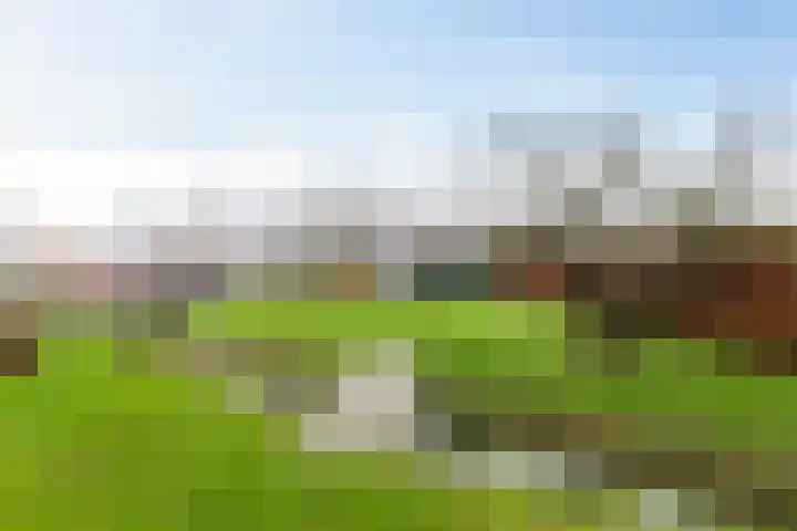 Stadsweg 167 Winneweer thumbnail 4