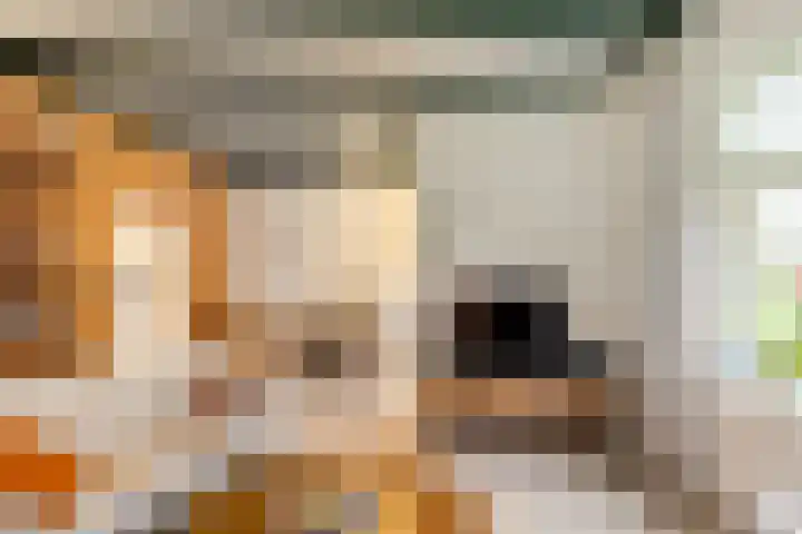 Stadsweg 167 Winneweer thumbnail 9