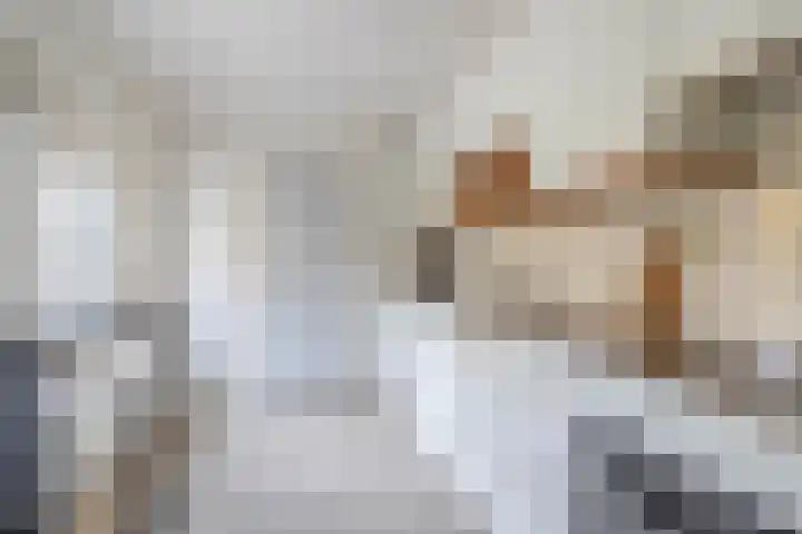 Stadsweg 19 a Groningen thumbnail 20